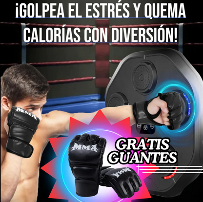 KnockFit Pro - Producto Tendencia en Europa